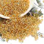 TOHO Round Seed Beads, Japanese Seed Beads, (22A) Silver Lined Golden Topaz, 8/0, 3mm, Hole: 1mm, about 1110pcs/50g(SEED-XTR08-0022A)