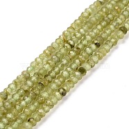 Natural Peridot Beads Strands, Faceted, Rondelle, 3x2.5mm, Hole: 0.5mm, about 188pcs/strand, 15.55''(39.5cm)(G-E591-05)