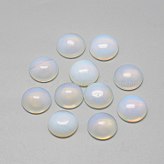 Opalite Cabochons, Half Round/Dome, 12x5mm(X-G-R416-12mm-49)