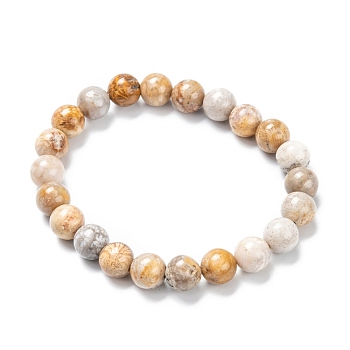 Natural Fossil Coral Stretch Beaded Bracelets, Round, Inner Diameter: 2-1/8 inch(5.5cm), Beads: 8~9mm