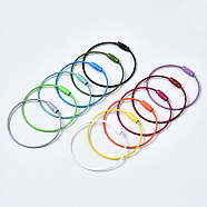 Spray Painted 201 Stainless Steel Wire Cable Keychains, Key Rings for Outdoor, Hanging Luggage Tags, Keys and ID Tag Keepers, Mixed Color, Inner Diameter: 4.5x4.8cm(BJEW-YW0001-10A)