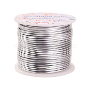 Round Aluminum Wire, for Jewelry Making, Platinum, 12 Gauge, 2mm, about 30m/roll(AW-YW0001-2mm-06A)