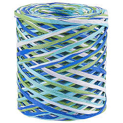 Raffia Paper Cords, for DIY Jewelry Making, Blue, 3~5.5mm, about 218.72 Yards(200m)/Roll(OCOR-WH20015-04A)