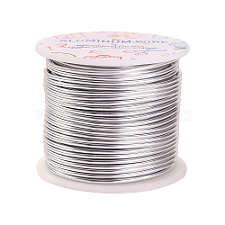 Aluminum Wire, for Jewelry Making, Platinum, 12 Gauge, 2mm, about 30m/roll(AW-YW0001-2mm-06A)