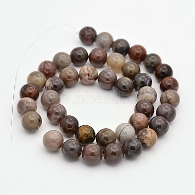 Natural Petrified Wood Round Beads Strands(G-P101-01-6mm)-2
