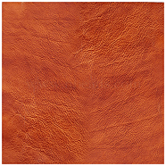 Leather Fabric, Leather Sheet for DIY Handmade Clothing Label, Handbag, Sienna, 25x25x0.1cm(DIY-WH0002-79E-04)