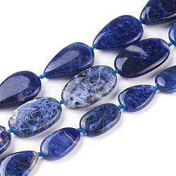 Natural Sodalite Beads Strands, Mixed Shapes, 18~30x12~22x5~8mm, Hole: 1~1.2mm, about 14~19pcs/strand, 16.1~16.5 inch(41~42cm)(G-F645-10)