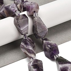 Natural Amethyst Beads Strands, Faceted Teardrop, with Seed Beads, 19~21.5x12~13mm, Hole: 2mm, about 15~16pcs/strand, 14.96~15.7 inch(38~40cm)(G-NH0005-B05-01)