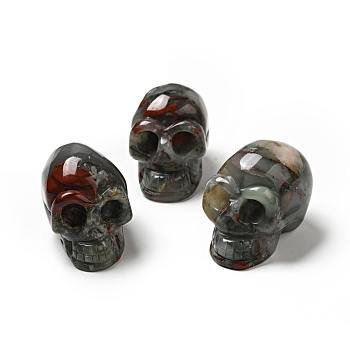 Halloween Natural African Bloodstone Display Decorations, Home Decorations, Skull, 35~37x30~31x48~50.5mm