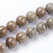 Natural Silver Leaf Jasper Beads Strands, Round, 6mm, Hole: 1mm, about 62pcs/strand, 15.3 inch(39cm)(G-F520-45-6mm)
