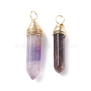 Natural Amethyst Double Terminated Pointed Pendants, with Light Gold Tone Copper Wire Wrapped, Bullet, 29.5~34.5x6.5~8x6.5~8mm, Hole: 3.4mm(PALLOY-JF01211-01)