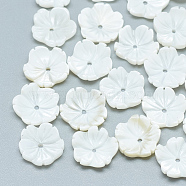 Freshwater Shell Beads, Flower, Seashell Color, 11~12x12x3mm, Hole: 1mm(SHEL-S275-009)