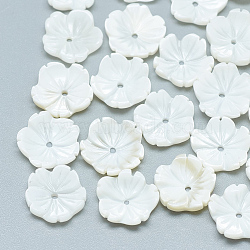 Freshwater Shell Beads, Flower, Seashell Color, 11~12x12x3mm, Hole: 1mm(SHEL-S275-009)