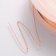 Round Copper Jewelry Wire(CWIR-CW0.3mm-14)-3