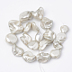 Chapelets de perles de coquille(X-BSHE-Q031-15G)-2