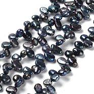 Natural Cultured Freshwater Pearl Beads Strands, Grade 4A+, Two Sides Polished, Dyed, Prussian Blue, 8~10x6.5~7x5~6mm, Hole: 0.5mm, about 80pcs/strand, 16.42''(41.7cm)(PEAR-J007-83B)