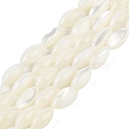 Natural Trochus Shell Beads Strands, Rice, WhiteSmoke, 12x6mm, Hole: 0.5mm, about 33pcs/strand, 15.16 inch(38.5cm)(BSHE-G036-06B)