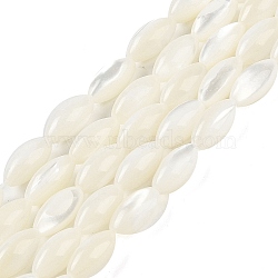 Natural Trochus Shell Beads Strands, Rice, WhiteSmoke, 12x6mm, Hole: 0.5mm, about 33pcs/strand, 15.16 inch(38.5cm)(BSHE-G036-06B)