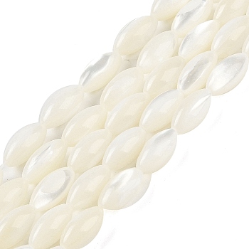Natural Trochus Shell Beads Strands, Rice, WhiteSmoke, 12x6mm, Hole: 0.5mm, about 33pcs/strand, 15.16 inch(38.5cm)