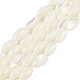 Brins de perles de coquillages naturels de troca(BSHE-G036-06B)-1