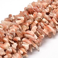 Natural Sunstone Chip Beads Strands, 8~30x5~12mm, Hole: 1mm, about 15.3 inch~15.7 inch(G-E271-133)