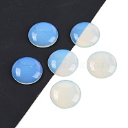 Opalite Cabochons, Half Round/Dome, 25x5.5mm(G-H1596-FR-25mm-01)