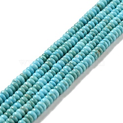 Natural Magnesite Beads Strands, Dyed, Flat Round, 4.4~4.6x2.2~2.4mm, Hole: 0.8mm, about 176~180pcs/strand, 15.59''(39.6~40.2cm)(G-D474-02A)