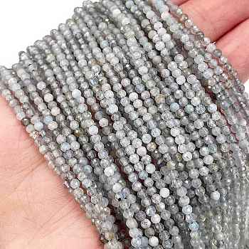 Natural Labradorite Beads Strands, Faceted, Round, 2mm, Hole: 0.5mm, about 181pcs/strand, 15.59''(39.6cm)