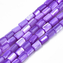Natural Trochid Shell/Trochus Shell Beads Strands, Dyed, Column, Blue Violet, 4~5x3~3.5mm, Hole: 0.9mm, about 77~78pcs/strand, 15.55 inch~15.75 inch(39.5~40cm)(SHEL-N003-26-B02)