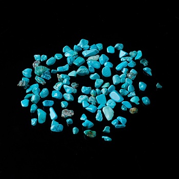 Natural Magnesite Chip Beads, Dyed & Heated, No Hole/Undrilled, 2~12x2~10x1~3mm, about 11200pcs/1000g