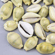 Natural Cowrie Shell Beads, No Hole/Undrilled, Light Khaki, 19~29x12~19x9~14mm, about 240pcs/500g(SSHEL-N034-B-26)