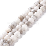 Natural Dolomite Beads Strands, Round, 10mm, Hole: 1.2mm, about 42pcs/strand, 16.34 inch(41.5cm)(G-I318-10)