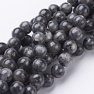 Natural Larvikite/Black Labradorite Beads Strands, Round, about 10mm, Hole: 1mm, about 40pcs/strand, 15.5 inch(GSR10mmC128)