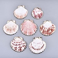 Electroplate Sea Shell Pendants, with Light Gold Iron Findings, Colorful, 40~60x35~60x3~6mm, Hole: 1.6mm(SSHEL-S258-69A)