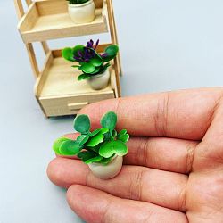 Mini Plastic Artificial Plant Ornaments, Miniature Bonsai, for Dollhouse, Home Display Decoration, Green, 25x30mm(MIMO-PW0001-192A)