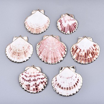 Electroplate Sea Shell Pendants, with Light Gold Iron Findings, Colorful, 40~60x35~60x3~6mm, Hole: 1.6mm