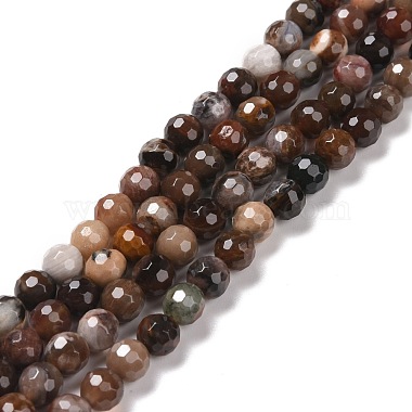 Round Petrified Wood Beads