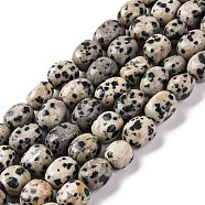 Natural Dalmatian Jasper Beads Strands, Nuggets, Tumbled Stone, 7~12x6~8x5~7mm, Hole: 1mm, about 43~44pcs/strand, 15.47~15.63''(39.3~39.7cm)(G-G146-A24-01)