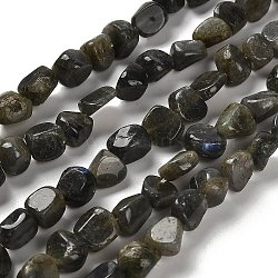 Natural Larvikite Beads Strands, Nuggets, Tumbled Stone, 7~13x4.5~10x4.5~10mm, Hole: 1.2mm, about 44~46pcs/strand, 15.08~16.14 inch(38.3~41cm)(G-P497-01E-85)