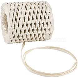 200M Raffia Paper Ribbon, for Craft, Packaging Accessories, Lemon Chiffon, 2~5mm, about 218.72 Yards(200m)/Roll(OCOR-WH20003-02B)