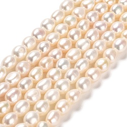 Natural Cultured Freshwater Pearl Beads Strands, Two Sides Polished, Grade 5A+, Linen, 6~7x5.5~6mm, Hole: 0.5mm, about 53~55pcs/strand, 14.37~14.76 inch(36.5~37.5cm)(PEAR-E016-068)