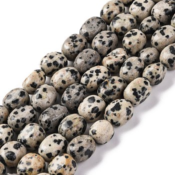 Natural Dalmatian Jasper Beads Strands, Nuggets, Tumbled Stone, 7~12x6~8x5~7mm, Hole: 1mm, about 43~44pcs/strand, 15.47~15.63''(39.3~39.7cm)