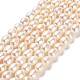 Natural Cultured Freshwater Pearl Beads Strands(PEAR-E016-068)-1