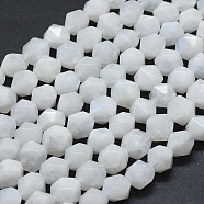 Natural Rainbow Moonstone Beads Strands, Faceted, Round, Star Cut Round Beads, 7~8mm, Hole: 1.2mm, about 46pcs/strand, 15.55 inch(39.5cm)(G-D0013-56)