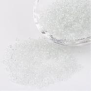12/0 Glass Seed Beads, Transparent, Round, White, 2mm, Hole: 1mm, about 3100pcs/50g(X-SEED-A004-2mm-1)