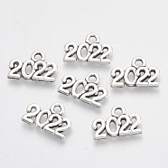 Tibetan Style Alloy Charms, Number 2022, Lead Free & Cadmium Free, Antique Silver, 9.5x14x1.5mm, Hole: 1.8mm, about 956pcs/500g(TIBE-T010-37AS-RS)