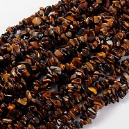 Natural Tiger Eye Beads Strands, 5~8mm, Hole: 0.3mm, 31 inch(F012)