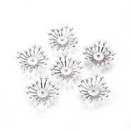 Multi-Petal 316 Surgical Stainless Steel Bead Caps, Flower, Stainless Steel Color, 24x24x3mm, Hole: 2mm(STAS-G196-03P)