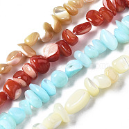 Natural Trochid Shell/Trochus Shell Beads Strands, Nuggets Chips, Mixed Color, 3.5~13x6~12x3~8mm, Hole: 0.9mm, about 68~73pcs/strand, 15.35 inch~15.94 inch(39~40.5cm)(SSHEL-N034-78)