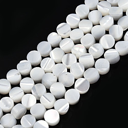 Natural Trochus Shell Beads Strands, Bleach, Flat Round, White, 4x2.5mm, Hole: 0.9mm, about 90~92pcs/strand, 14.80 inch~15.2 inch(37.6~38.6cm)(SSHEL-N034-165)